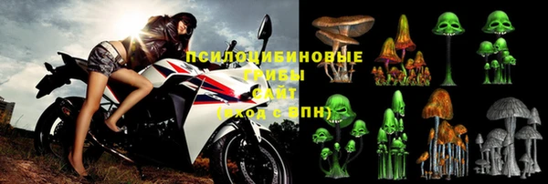 мяу мяу мука Баксан