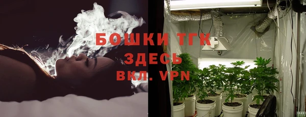 трава Новодвинск