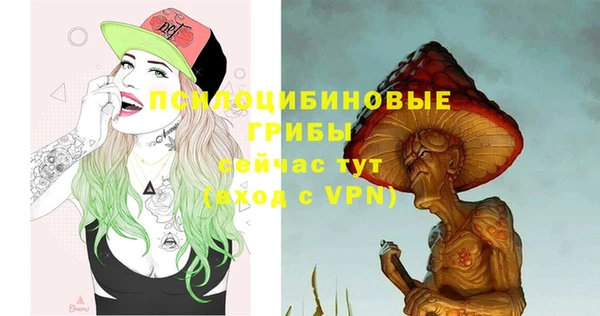 мяу мяу мука Баксан