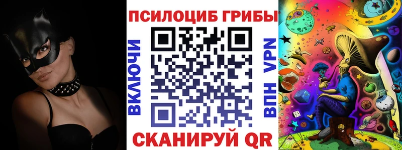 Псилоцибиновые грибы прущие грибы  закладки  OMG ТОР  Чистополь 